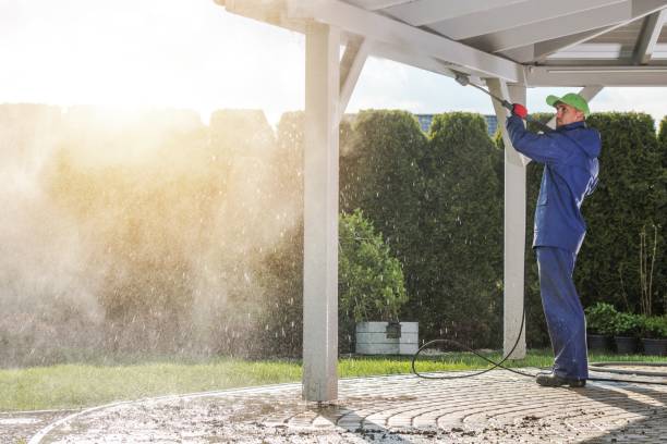 Animal Enclosure Cleaning in Clifton, TX